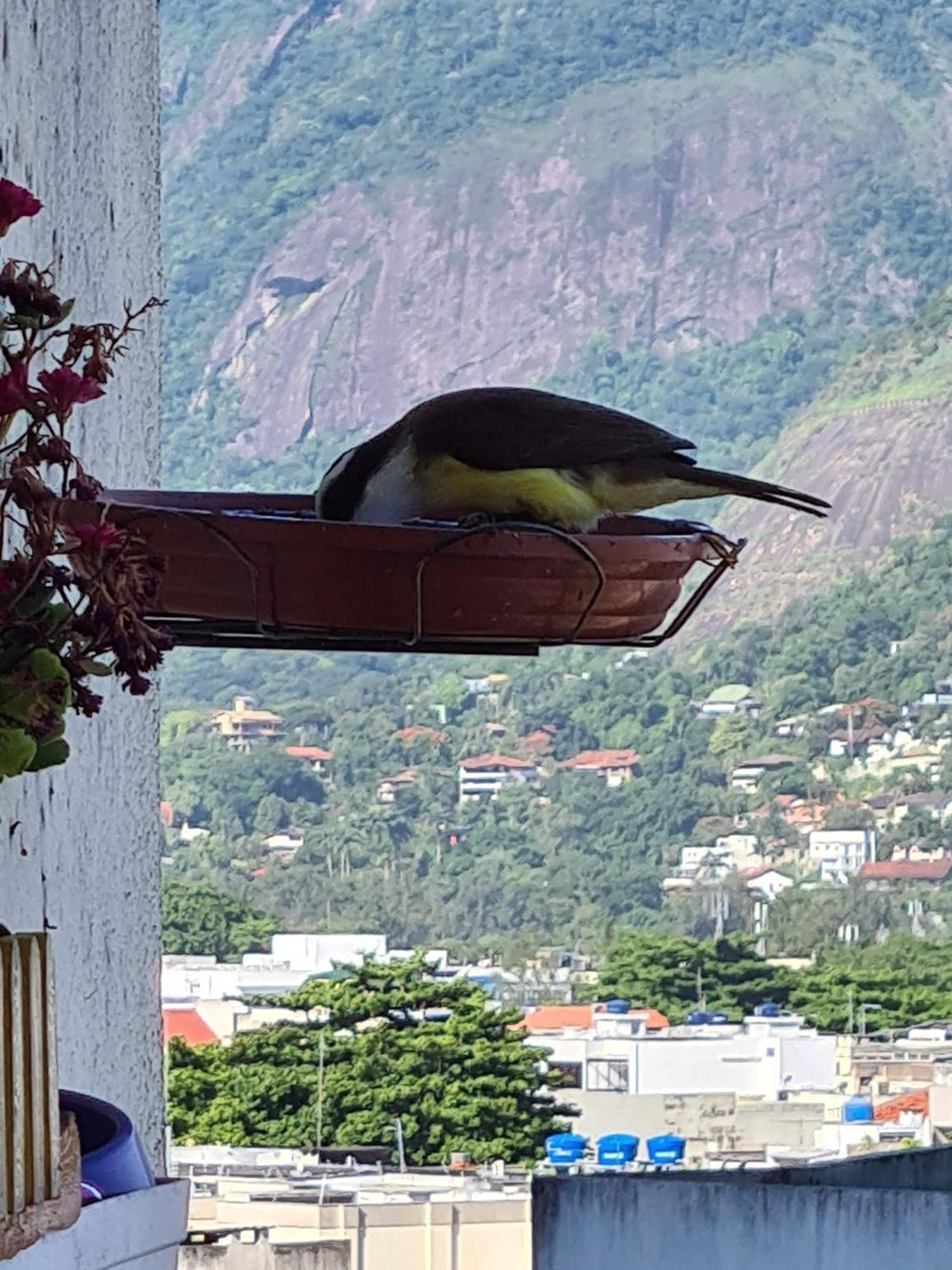 Apto Barra da Tijuca Frente pro Mar Rio de Janeiro Esterno foto